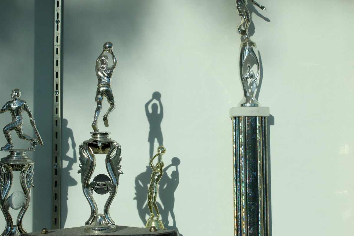 7 Trophy Case Ideas to Proudly Display Your Awards at Home – Display  Cabinets Direct