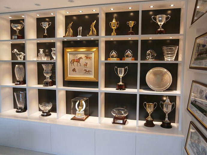 Displaying Success: Using Glass Cabinets to Highlight Achievements