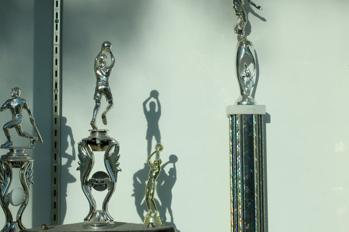 7 Trophy Case Ideas to Proudly Display Your Awards at Home
