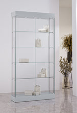 Collectors Display Cabinet 131/30D