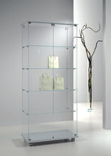 Premier Lite 8.18 Glass Display Cabinet