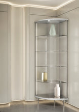 Elegance Lite 203/AN Corner Display Showcase