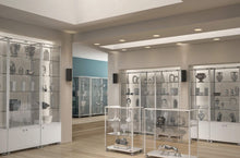 Fusion Plus 4.6P Countertop Glass Display Case