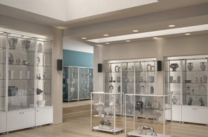 Fusion Plus 4.6P Countertop Glass Display Case