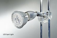 Premier 201Q Countertop Showcase & Lighting