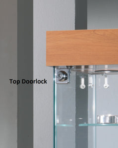 Premier 20 Small Glass Top Display Counter