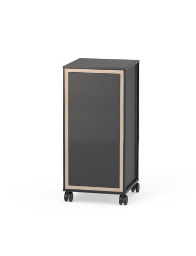The Caroline Display Shelving Trolley With Doors TR-CD03 is a black rectangular cabinet with a universal body, light wood front trim, doors, and stands on a castor-mounted base plate for easy mobility.