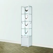 Vista Silver Display Cabinet Tall Narrow (with storage)