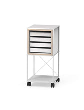 Caroline Display Shelving Trolley With Trays TR-CD01