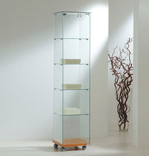 Premier Lite 4.18 Glass Display Cabinet