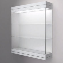 EXCEL Line W, Model A Wall Mounted Display Case