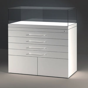EXCEL Line A Archive Case with Passive Climate Control (20cm Glass Hood)
