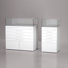 EXCEL Line A Archive Case with Passive Climate Control (15cm Glass Hood)