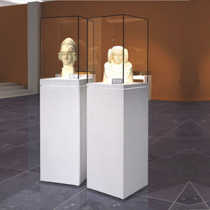 Freestanding shop display case